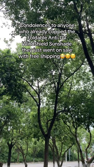 @user477381309510982
