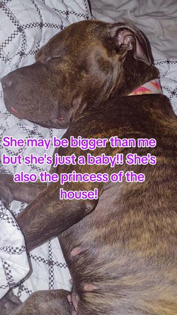 @Ray Ray finds