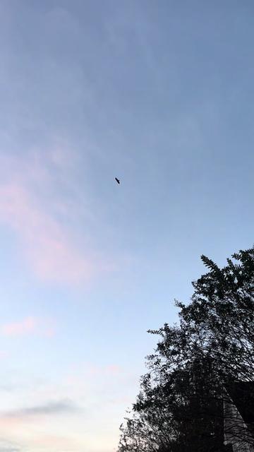 @缥缈客（老武）