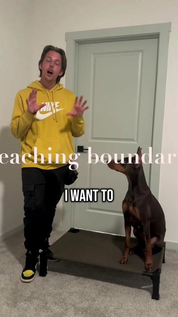 @tylerthek9trainer
