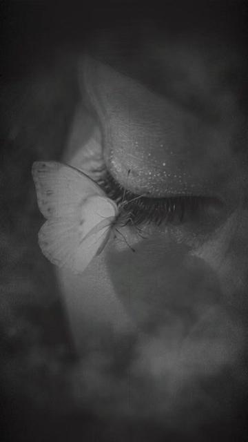 @🖤_butterfly_🖤