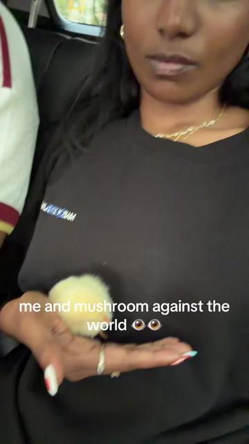@yashi