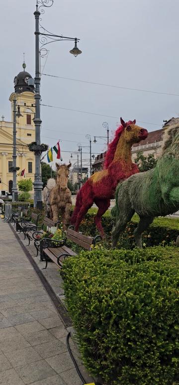@Debrecen csod&aacute;i