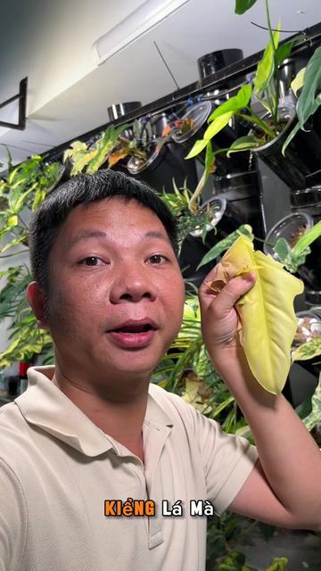 @Huy Kiểng Lá