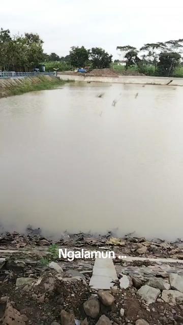@LEMBUR PAKUAN