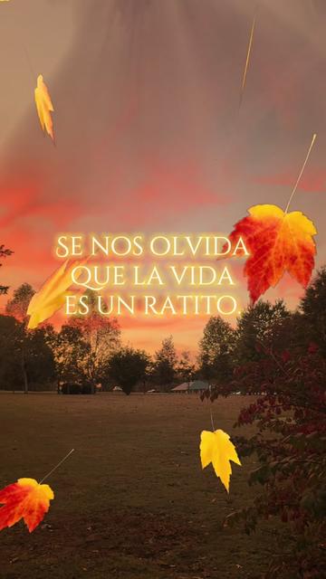 @🫂🐾♉️Masiel🫶 ⩜⃝🌈🦩