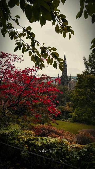 @Beauty of Scotland