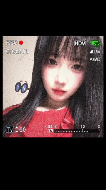 @RingoLYN🥋りんごリン링고린🍎