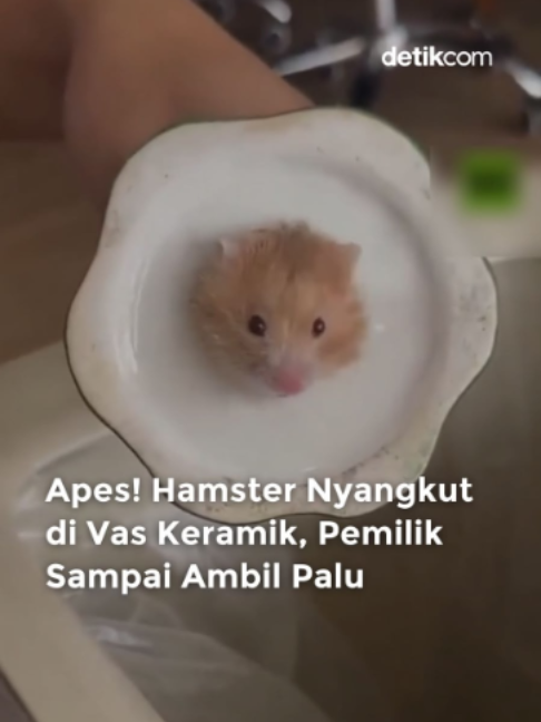 @detik.com