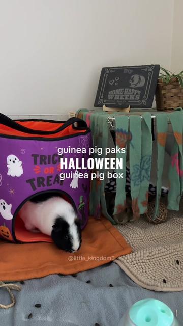 @Ashlyn | Pet Care