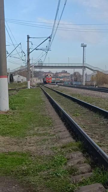 @SHPROTT FROM SHAHOVSKAYA