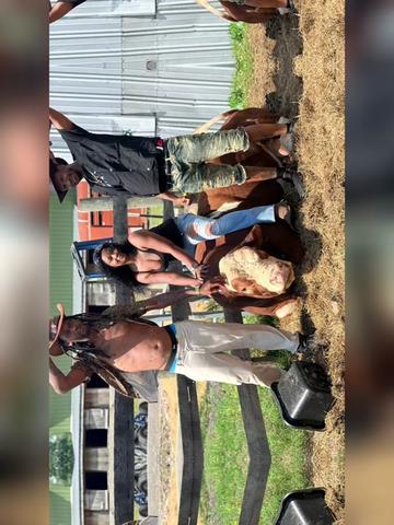 @Sandra Dorsey