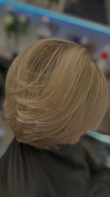 @hairstylingdoglady