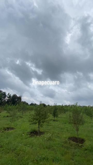 @ARTHUR EL ZINAPECUARENSE 🌎