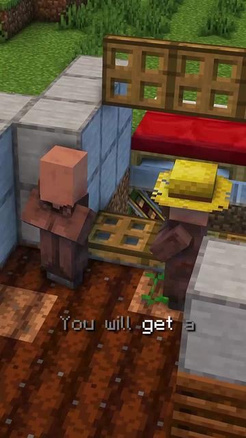 @MINECRAFT CLIPS
