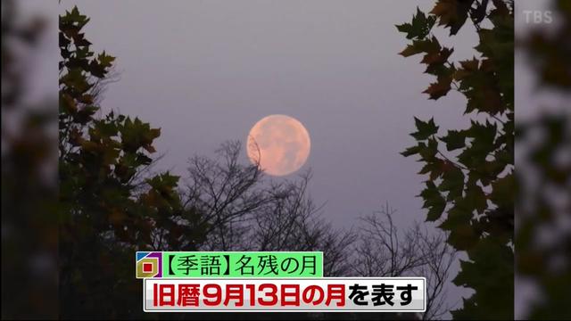 @user18629433451530