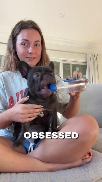 @Mabel the Frenchie
