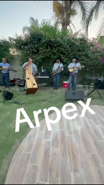 @arpexoficial