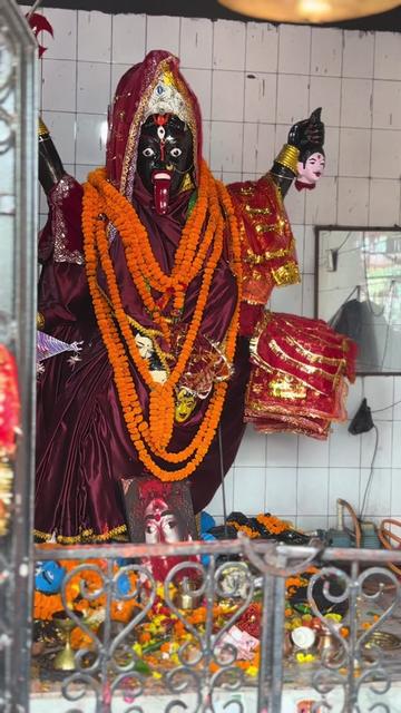 @Biva Shah