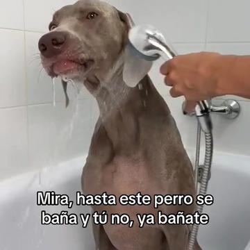 @saulburgosp