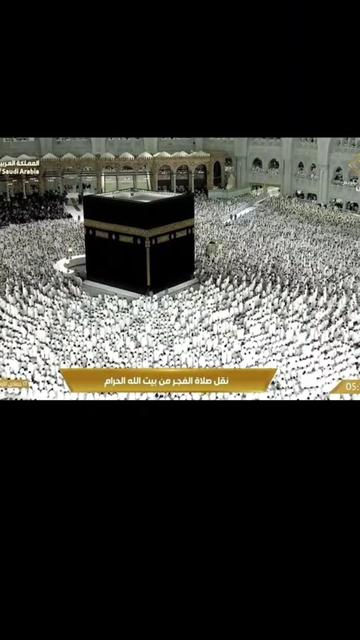 @من المدينة 🇸🇦 Madinah