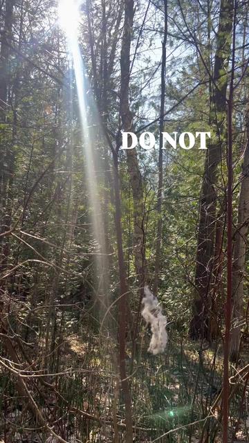 @SRB 🌱