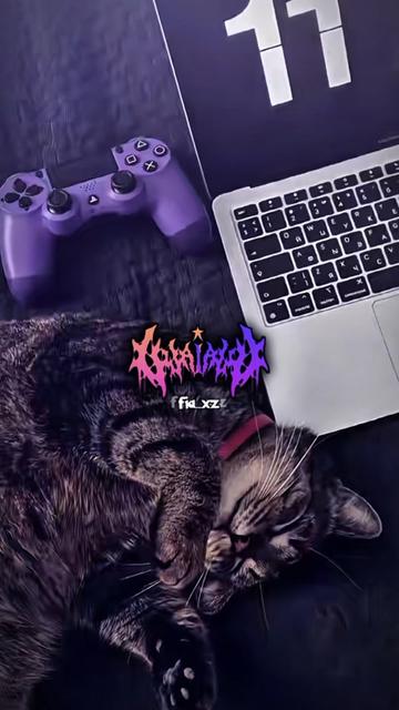 @fia_ᴛᴇᴍᴘʟᴀᴛᴇ