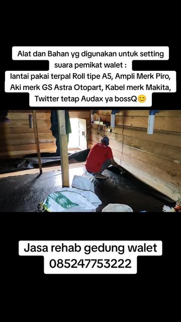 @Walet Rimba Kalimantan