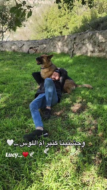 @CAndy-♡
