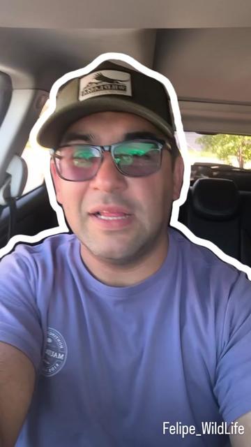 @Felipe_WildLife