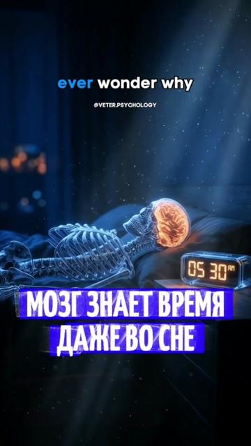 @ВЕТЕР ПСИХОЛОГИИ