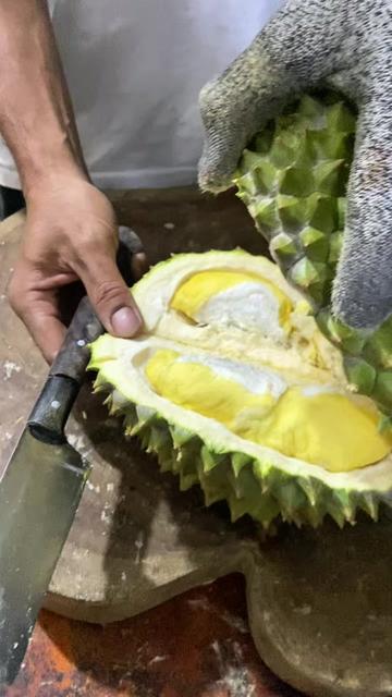 @CICIP DURIAN