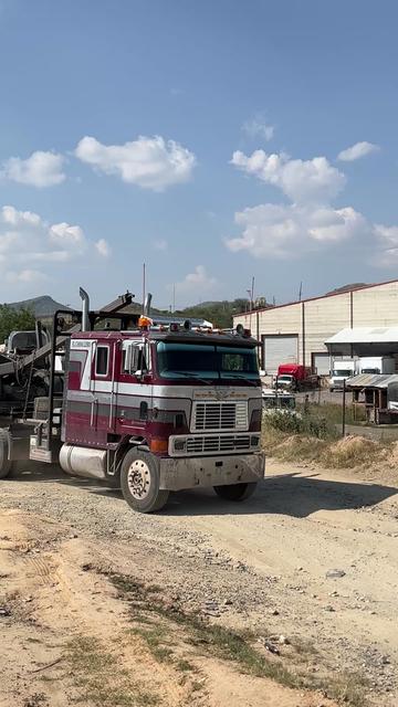 @Chihuahua Trucks