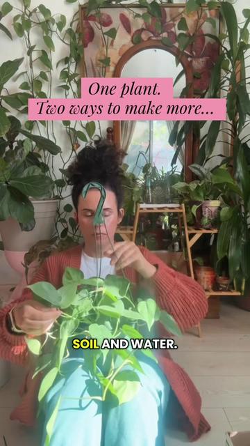 @plant_trappin