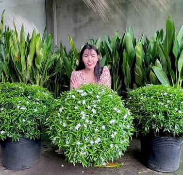 @Tiệm L&aacute; Nhỏ