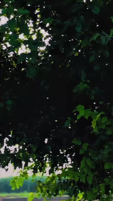 @𝘽𝙇𝘼𝘾𝙆 𝙇𝙄𝙁𝙀_𝟖𝟎𝟒🇧🇫