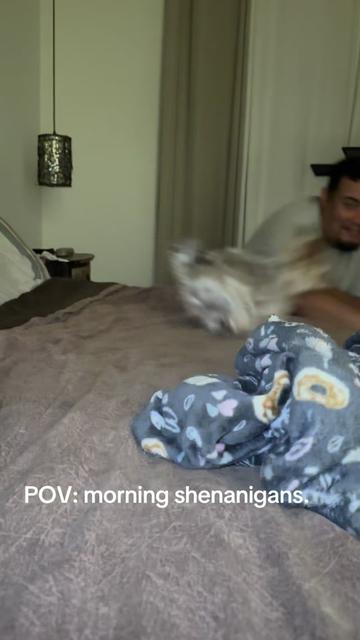 @Penny the Yorkie