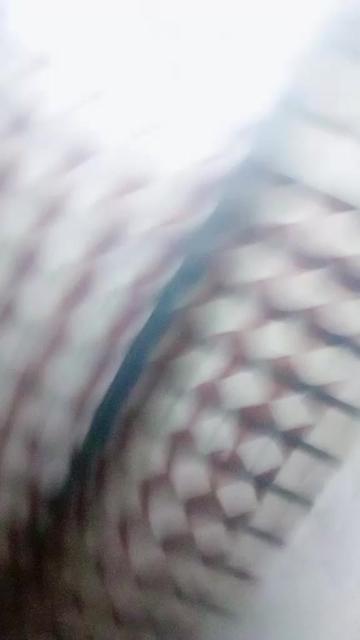 @prveen