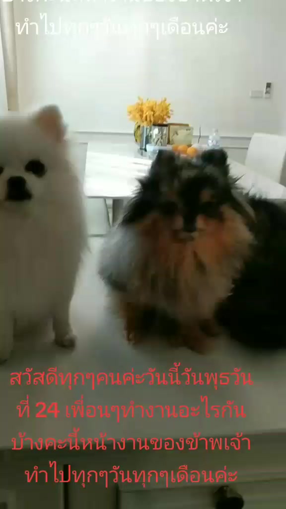 @แสงเฮือน