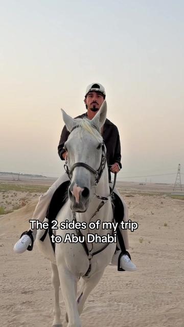@Saif Shawaf