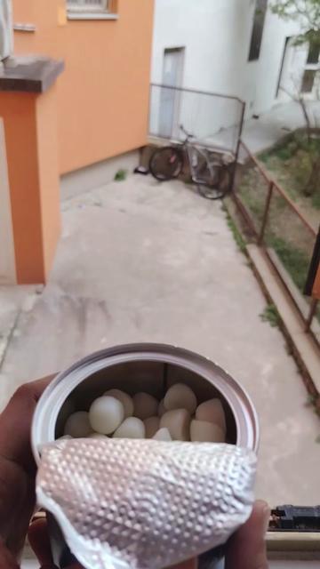@Ayesharehman757