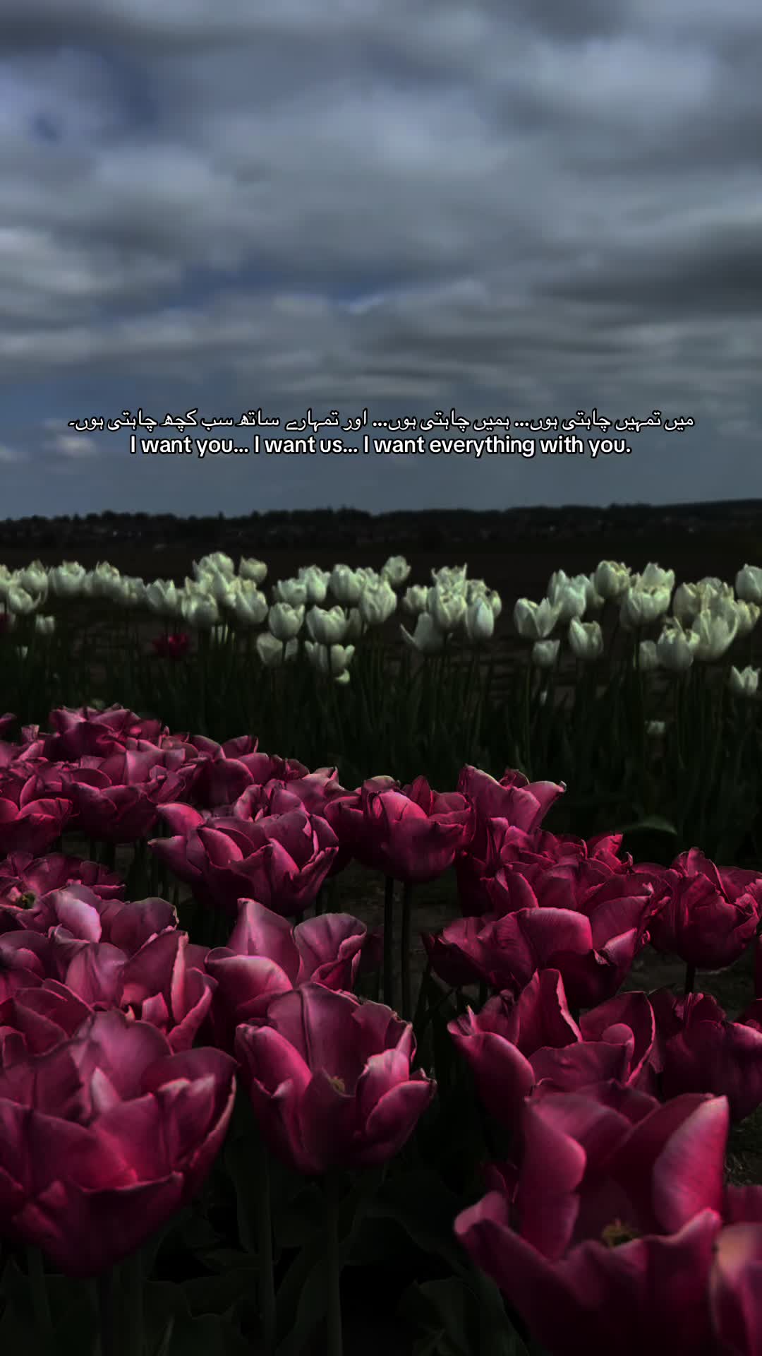 @نامرا⁷