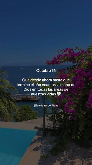 @vidabonita❤️🩹
