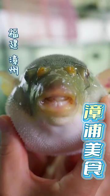 @闽南风~