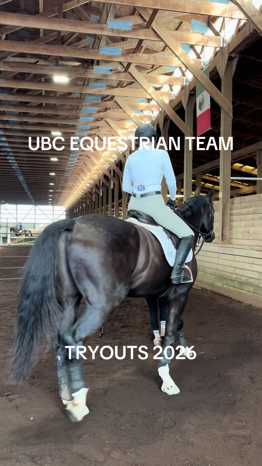 @UBC Equestrian Team