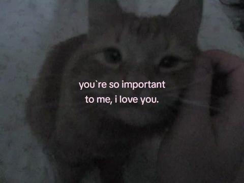 @suffering from this