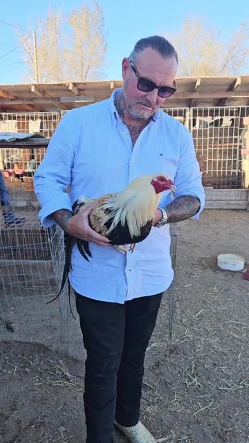 @Carol Nesmith Blackwater Farm