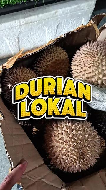 @CICIP DURIAN