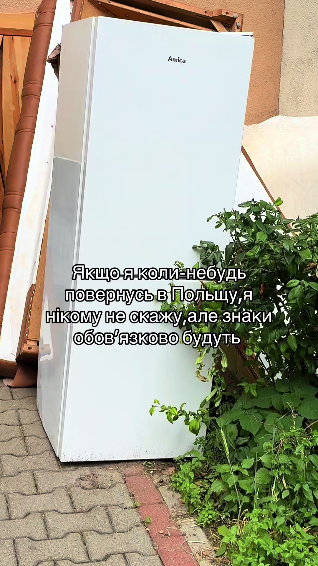 @BaKseniya