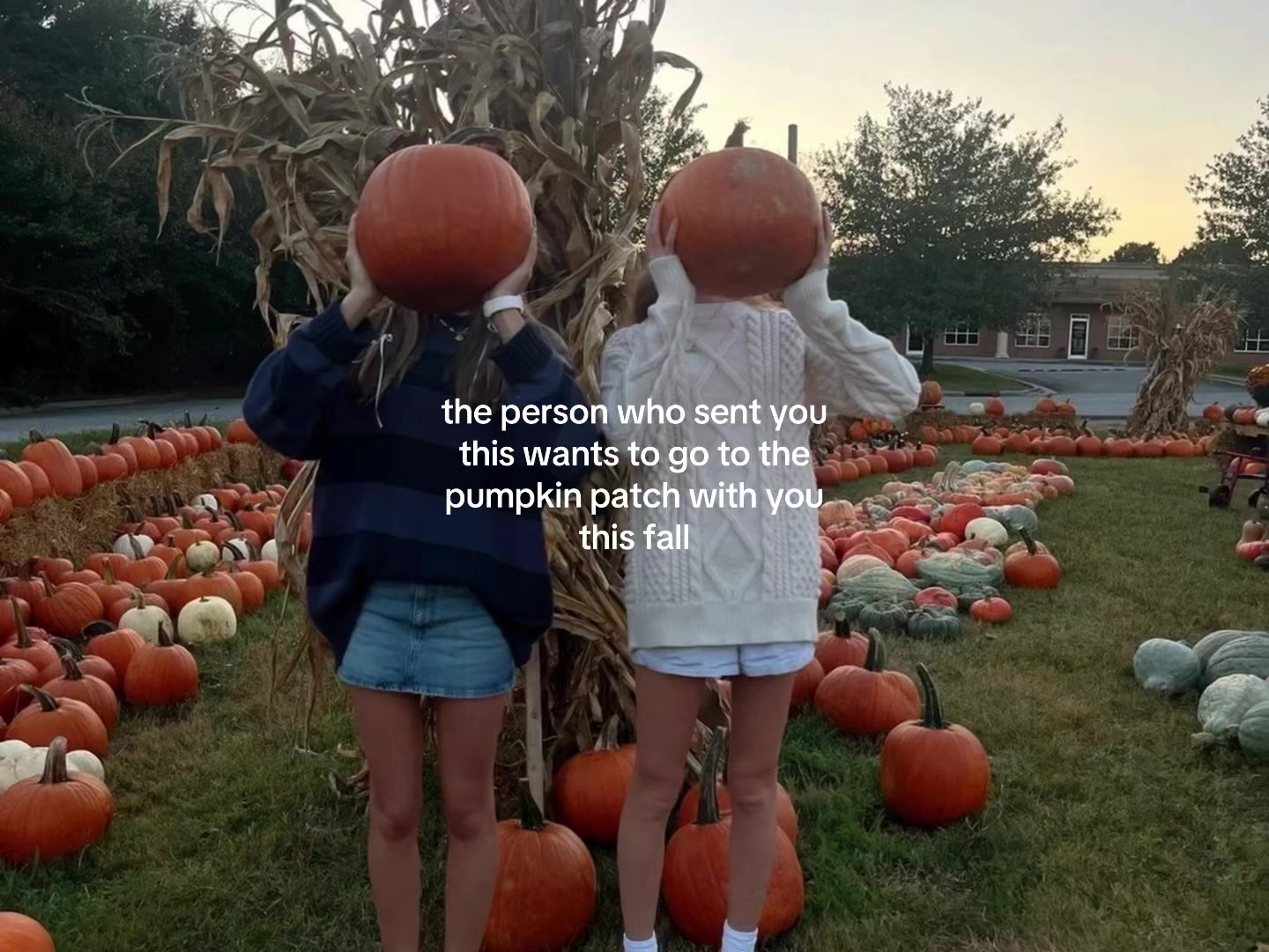@🪽